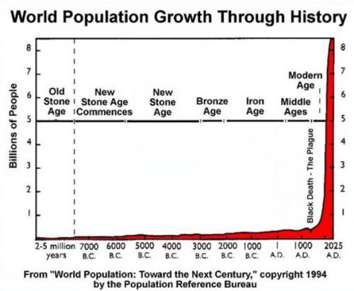 Media_httpstatic2busi_fhapt