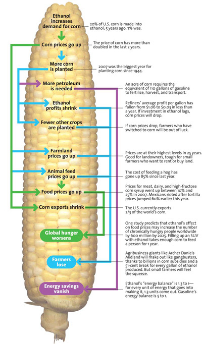 Media_httpwwwritholtz_fhjwh