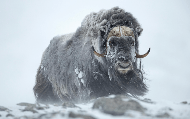 Screen Shot 2016-11-21 at 06.35.20.png